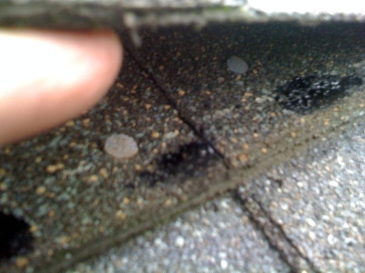 Rusty nails leaking on Asphalt roof  in Victoria, BC  