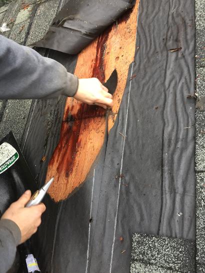 soaked plywood roof deck Shawnigan Lake, B.C. 