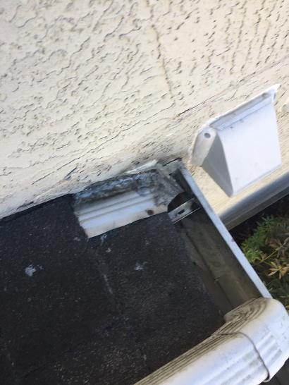 condo roof leaking in Duncan, B.C.