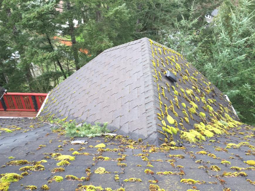 mossy old roof in Langford, B.C,